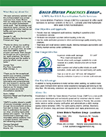 Green Motors Practices Group